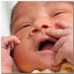  Professional Photos in Maternity Ward 